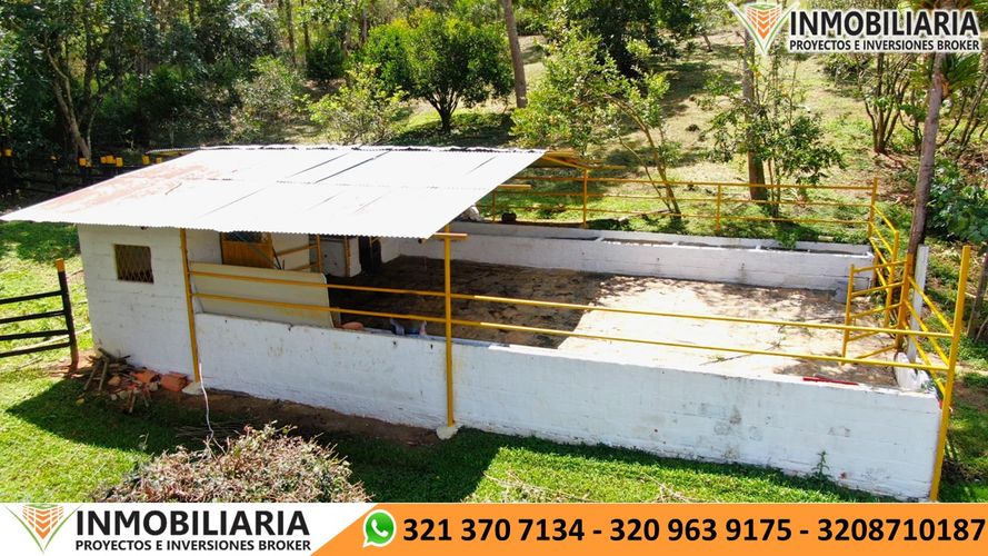 Finca en Venta en Clavenillas, Aratoca - Miniatura 16
