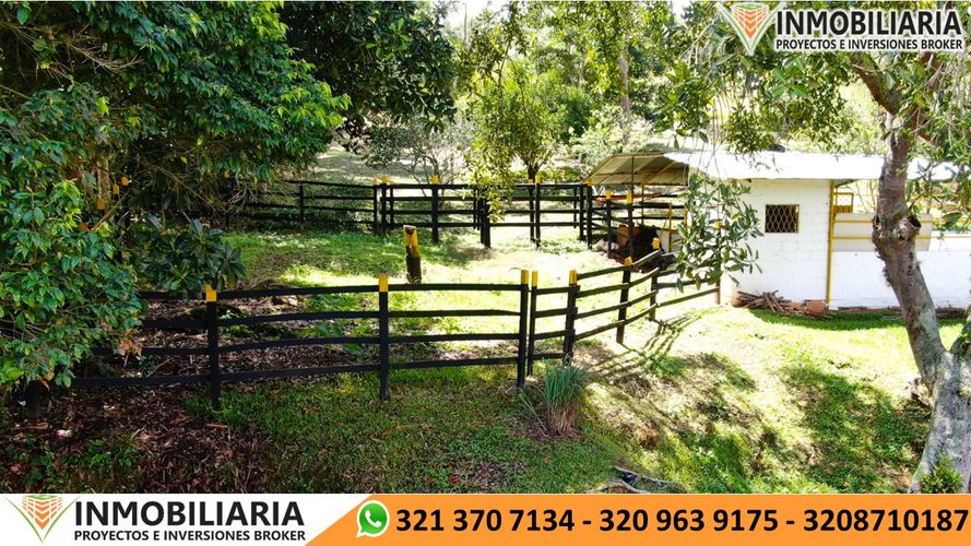 Finca en Venta en Clavenillas, Aratoca - Miniatura 18