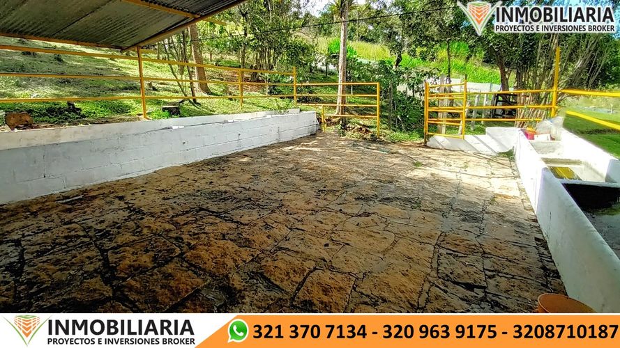 Finca en Venta en Clavenillas, Aratoca - Miniatura 23