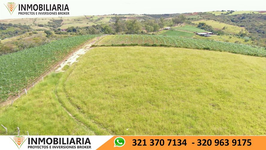 Finca en Venta en San gil - Miniatura 3