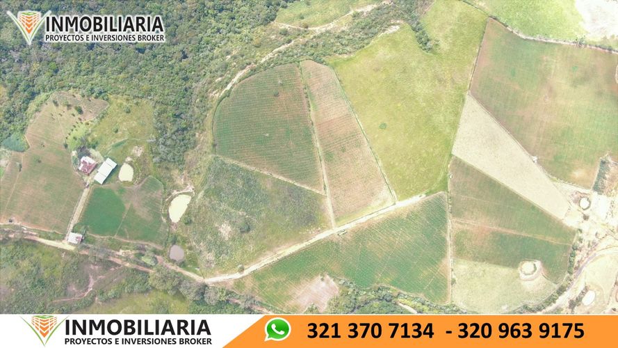Finca en Venta en San gil - Miniatura 5