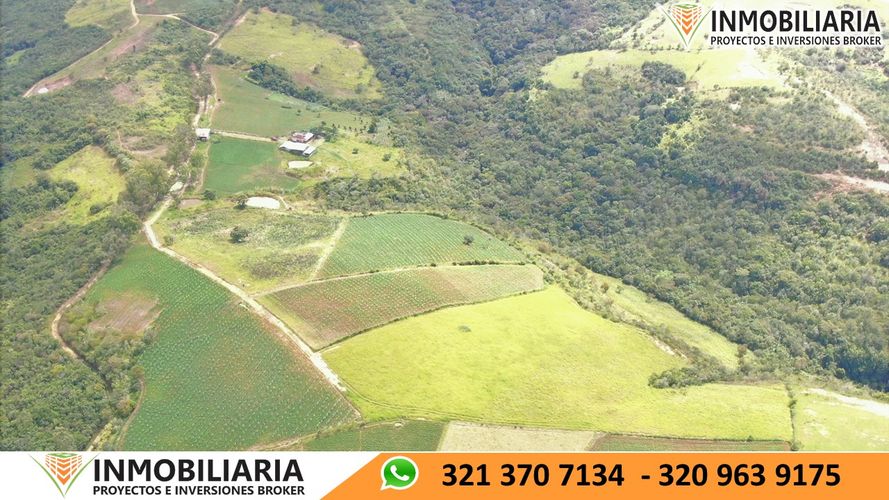 Finca en Venta en San gil - Miniatura 6