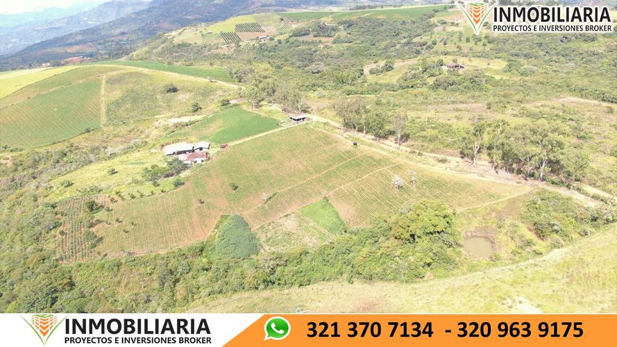 Finca en Venta en San gil - Miniatura 7