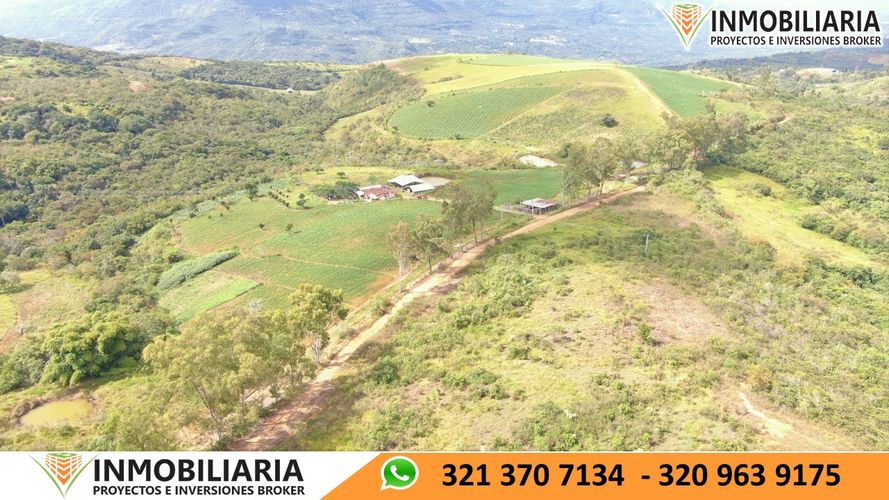 Finca en Venta en San gil - Miniatura 16