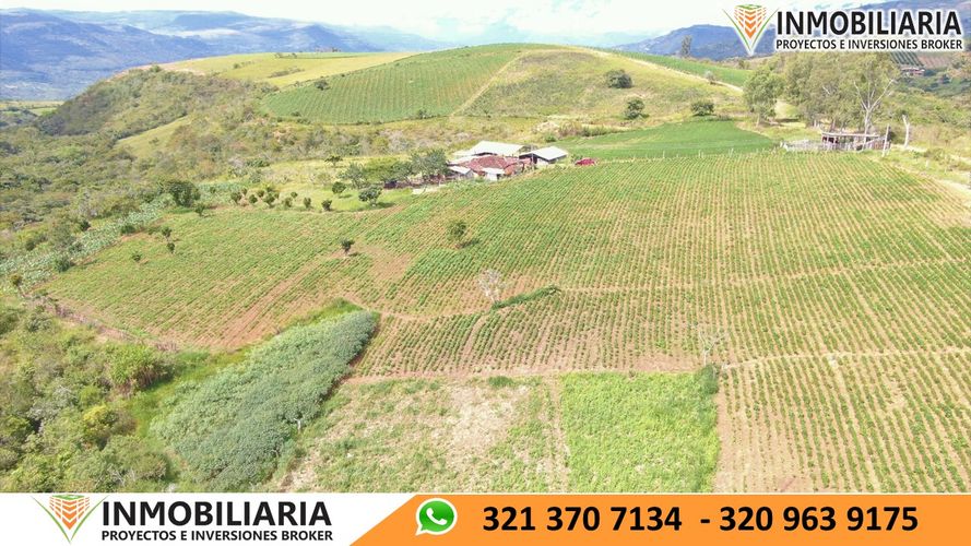 Finca en Venta en San gil - Miniatura 17