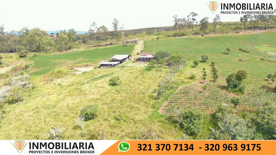 Finca en Venta en San gil - Miniatura 18