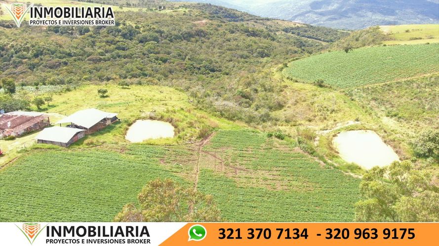 Finca en Venta en San gil - Miniatura 20