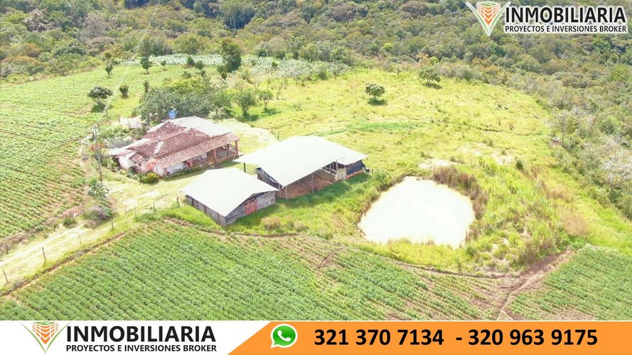 Finca en Venta en San gil - Miniatura 21