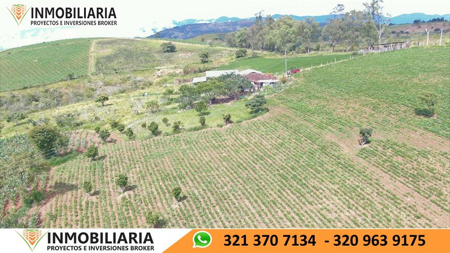 Finca en Venta en San gil - Miniatura 22