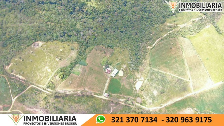 Finca en Venta en San gil - Miniatura 23
