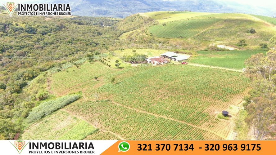 Finca en Venta en San gil - Miniatura 24