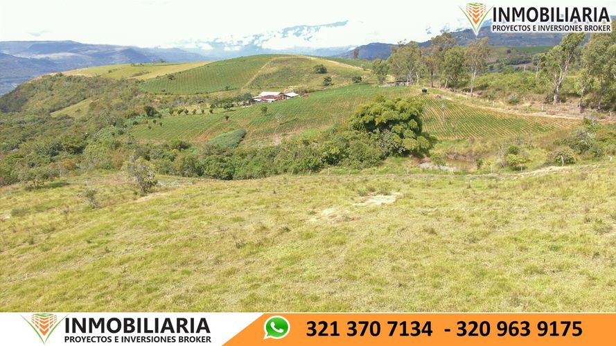 Finca en Venta en San gil - Miniatura 27