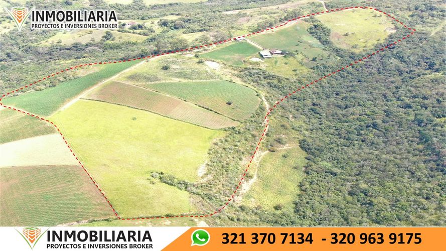 Finca en Venta en San gil - Miniatura 28