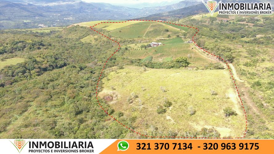Finca en Venta en San gil - Miniatura 29