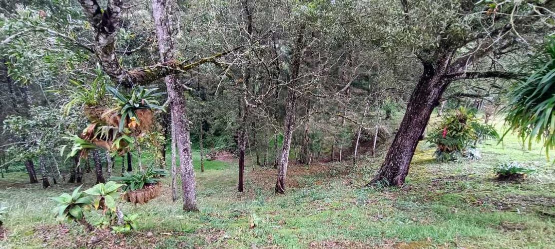Finca en  Venta en El Retiro - Miniatura 31