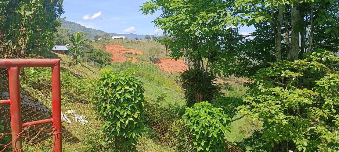 Finca en venta en Barbosa - Miniatura 25