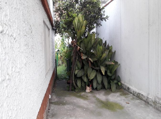 Casa en  Arriendo en El Poblado, Medellín - Miniatura 10