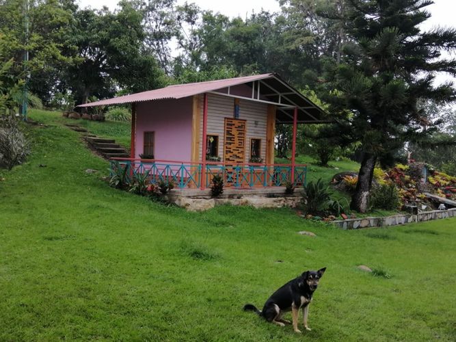 Finca en  Arriendo en Fusagasugá - Miniatura 16