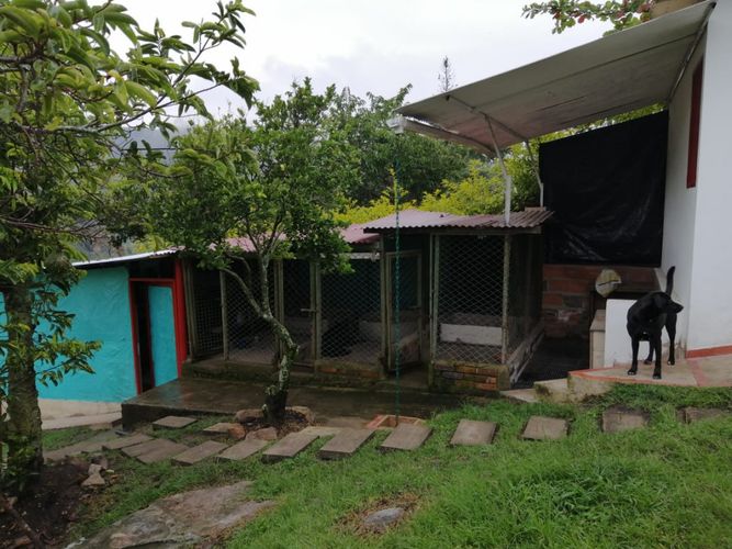 Finca en  Arriendo en Fusagasugá - Miniatura 17
