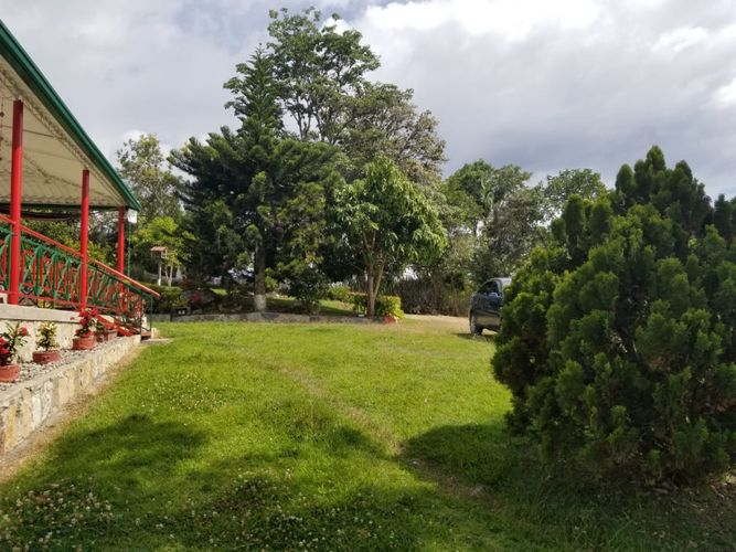 Finca en  Arriendo en Fusagasugá - Miniatura 19