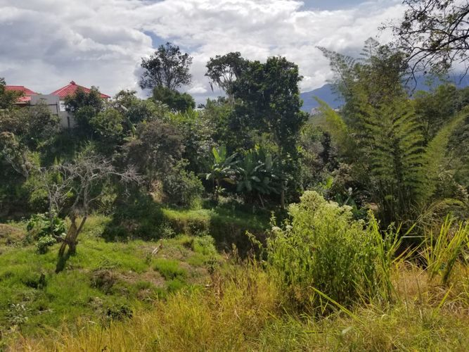 Finca en  Arriendo en Fusagasugá - Miniatura 20