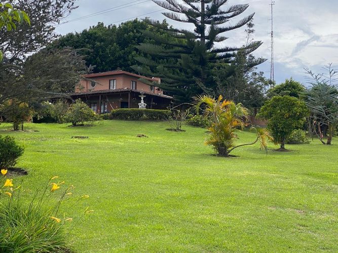 Finca en Venta en El carmen de viboral - Miniatura 9