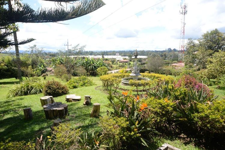Finca en Venta en El carmen de viboral - Miniatura 12