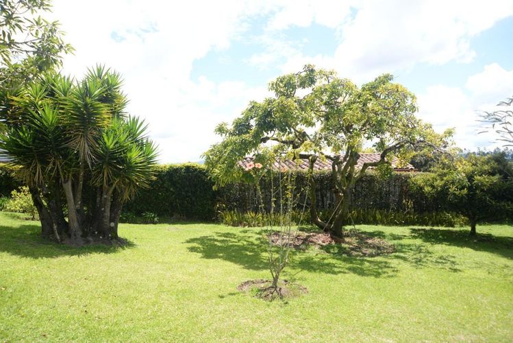 Finca en Venta en El carmen de viboral - Miniatura 14