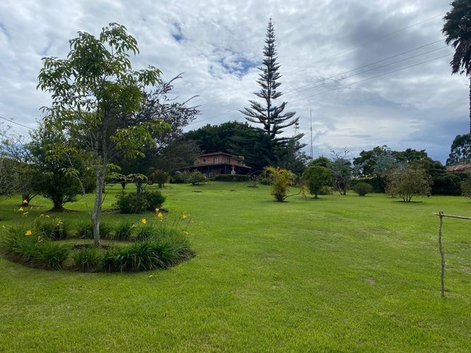 Finca en Venta en El carmen de viboral - Miniatura 16