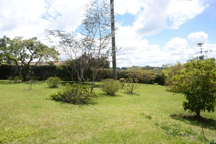 Finca en Venta en El carmen de viboral - Miniatura 21