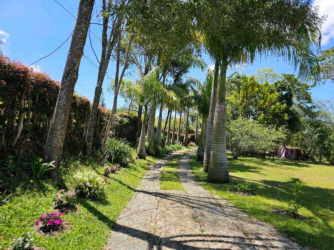 Finca en Venta en El carmen de viboral - Miniatura 7
