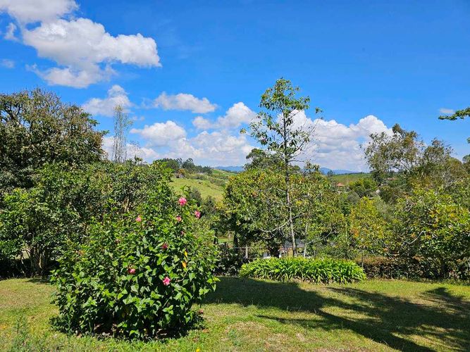 Finca en Venta en El carmen de viboral - Miniatura 8