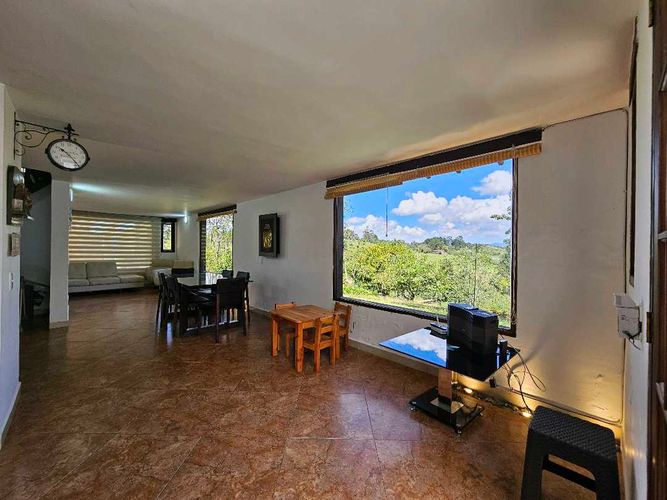 Finca en Venta en El carmen de viboral - Miniatura 12