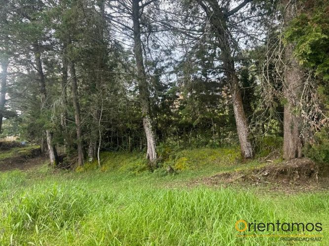 Finca en Arriendo en Santa Elena, Medellín - Miniatura 10