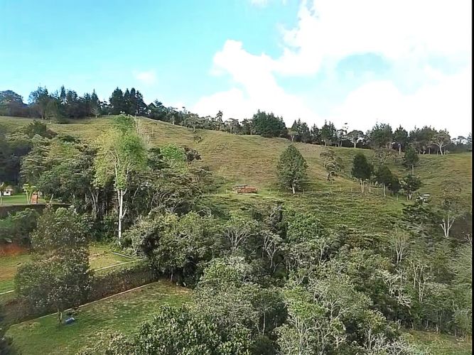 Finca en Venta en Alto de la virgen, Copacabana - Miniatura 8