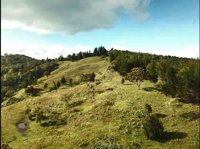 Finca en Venta en Alto de la virgen, Copacabana - Miniatura 13