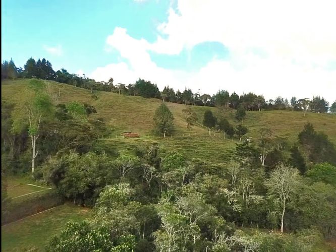 Finca en Venta en Alto de la virgen, Copacabana - Miniatura 14
