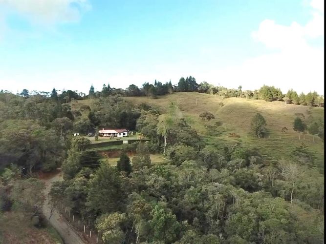 Finca en Venta en Alto de la virgen, Copacabana - Miniatura 15
