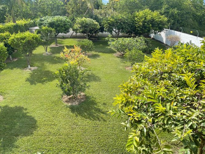 Finca en Venta en Rozo - Miniatura 25