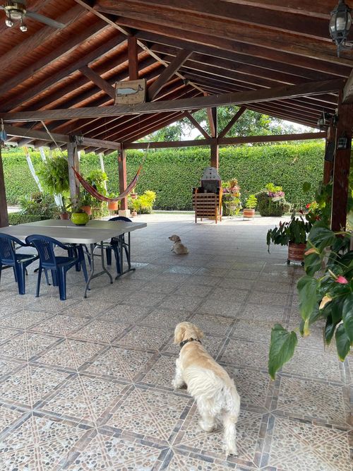 Finca en Venta en Rozo - Miniatura 29
