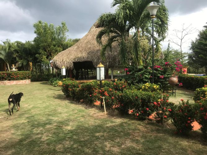 Finca en  Venta en Arjona - Miniatura 5