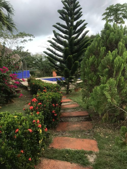 Finca en  Venta en Arjona - Miniatura 6