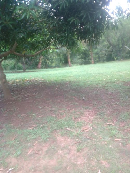 Finca en  Venta en Arjona - Miniatura 10