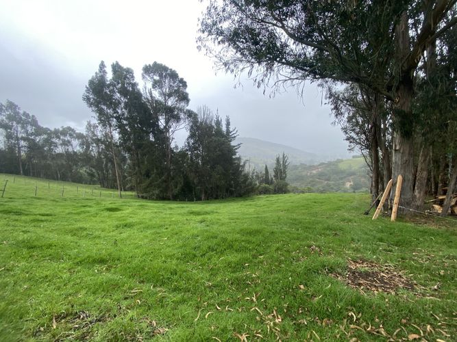 Finca en Venta en La floresta, Guasca - Miniatura 5