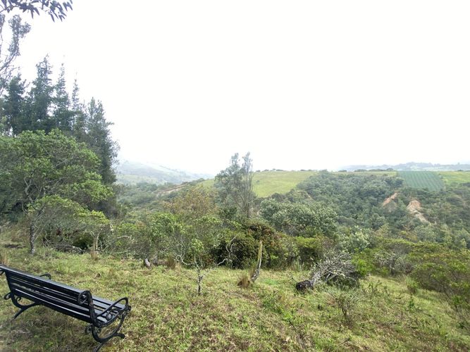 Finca en Venta en La floresta, Guasca - Miniatura 15