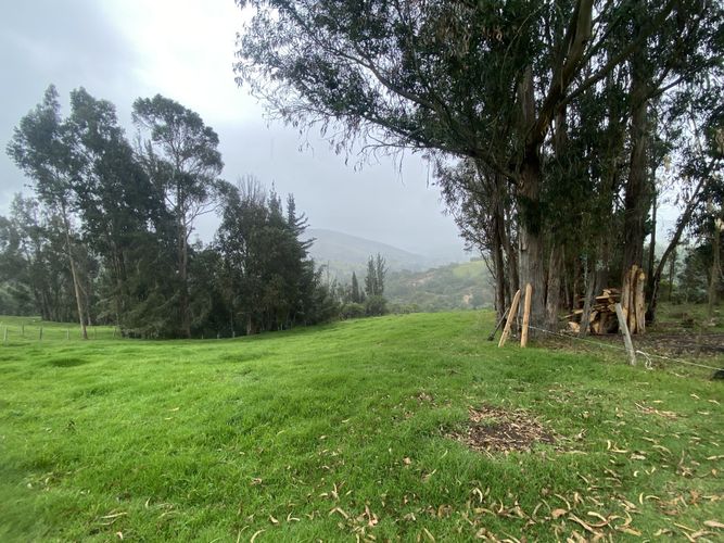 Finca en Venta en La floresta, Guasca - Miniatura 16