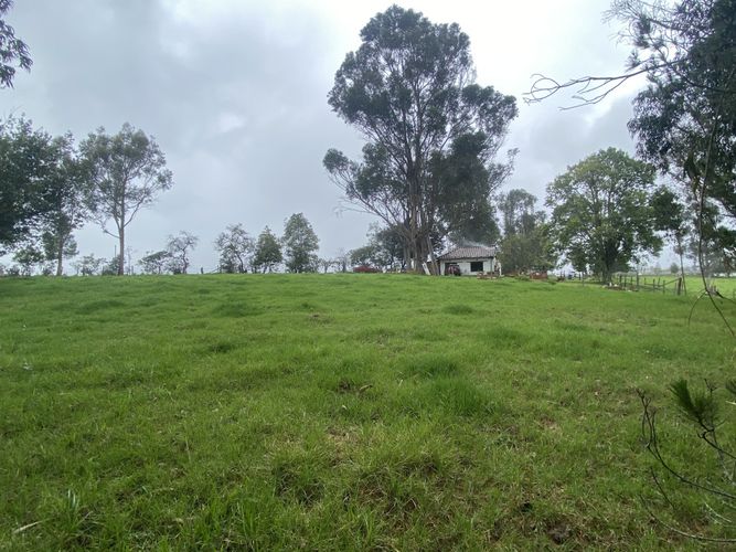 Finca en Venta en La floresta, Guasca - Miniatura 17