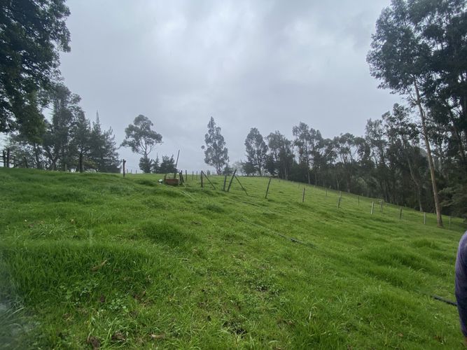 Finca en Venta en La floresta, Guasca - Miniatura 19