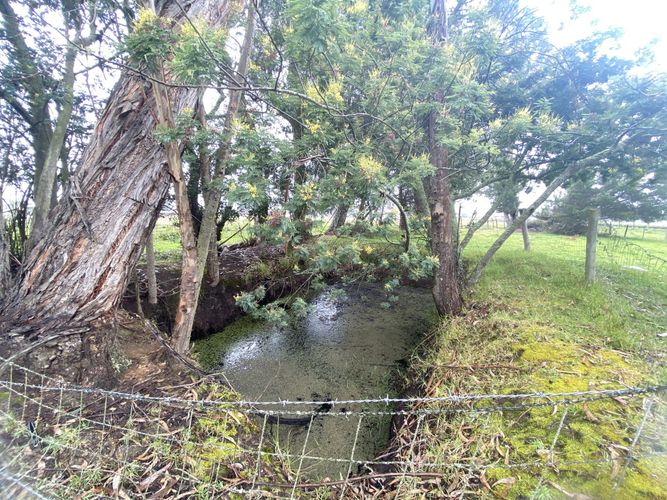 Finca en Venta en La floresta, Guasca - Miniatura 22