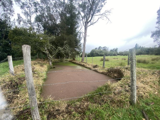 Finca en Venta en La floresta, Guasca - Miniatura 23
